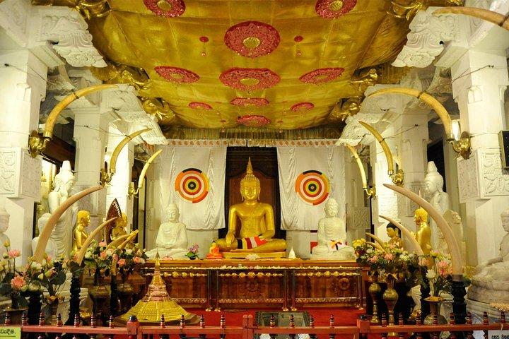 Private Custom Kandy Day Tour from Bentota & Beruwala