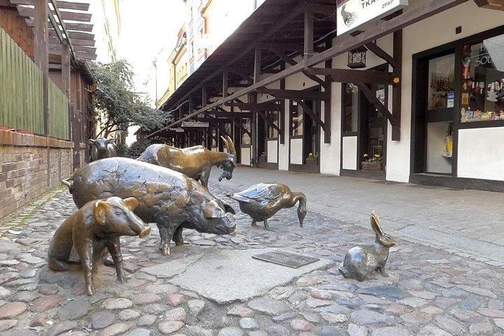 Wroclaw Old Town Private Tour