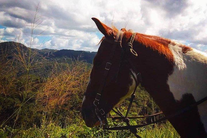 Horseback Ride to the Forgotten Jungle City