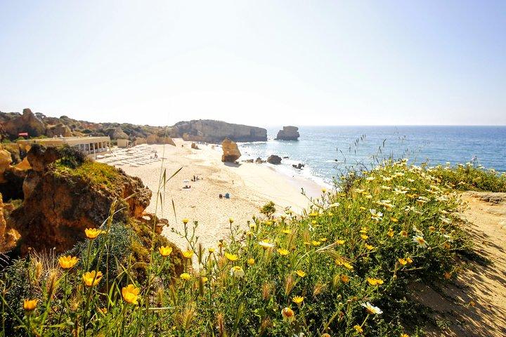 Discover Albufeira in a Tuk Tuk