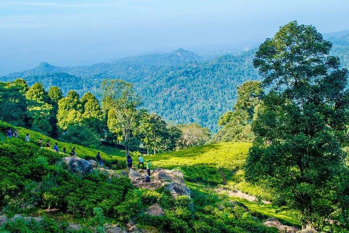 Overnight All-Inclusive Tea Plantation Adventure in Kandy