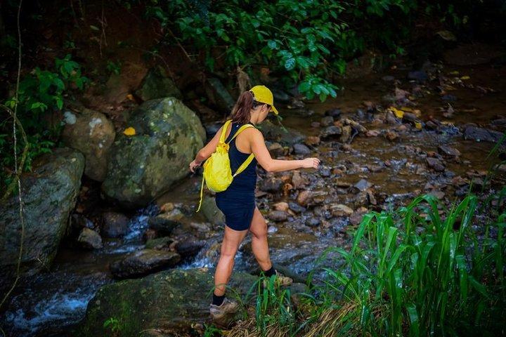Overnight All-Inclusive Tea Plantation Adventure in Kandy