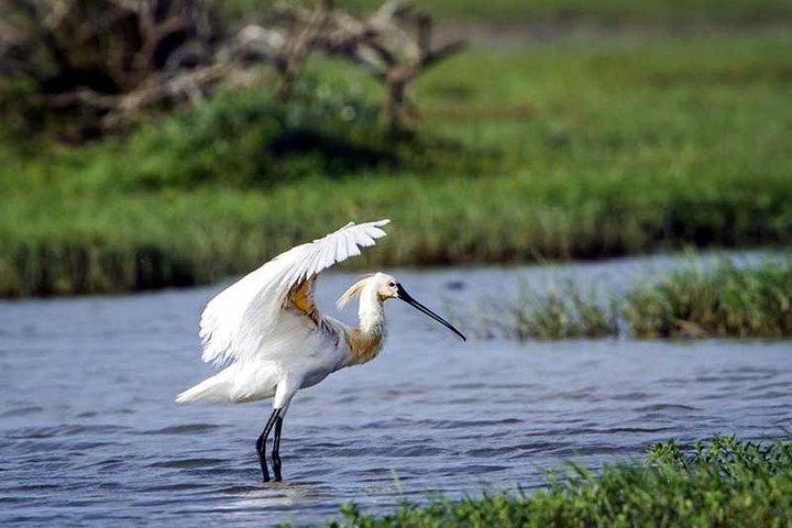 From Galle: Guided Nature Trail to Kanneliya Forest