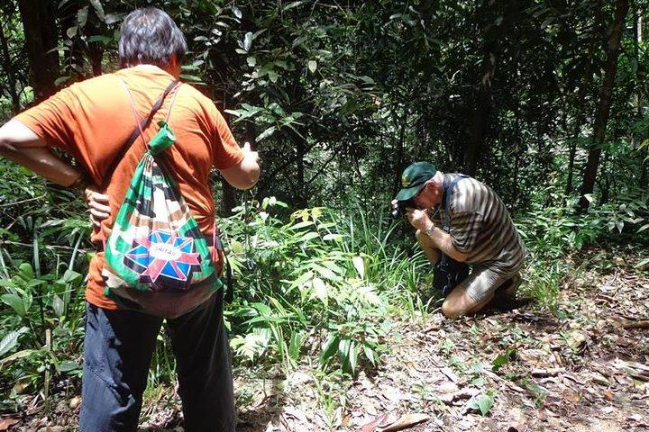 From Galle: Guided Nature Trail to Kanneliya Forest