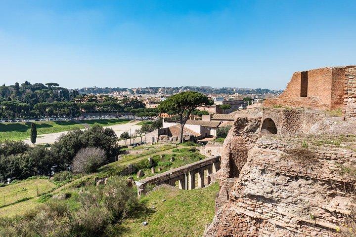 Private Tour of the Colosseum with Roman Forum & Palatine Hill