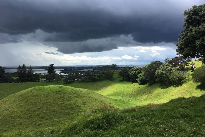 Shore Excursion: Half-Day Auckland Volcanoes Tour