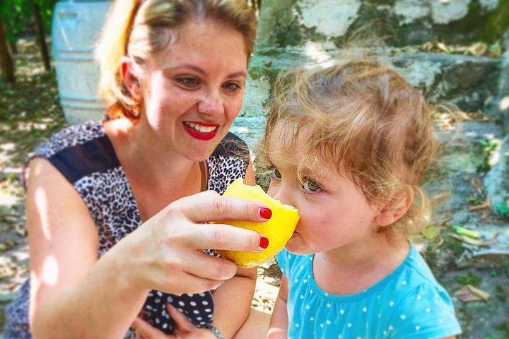 Discover Sorrento with food tasting and walking Tour