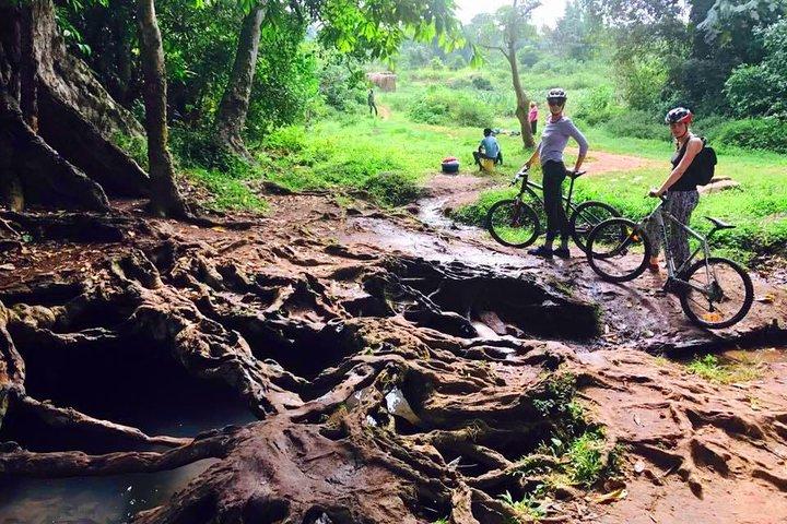 Lake Victoria Island Cycling Tour from Kampala