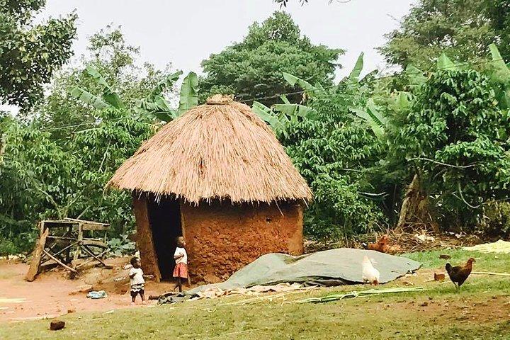 Lake Victoria Island Cycling Tour from Kampala