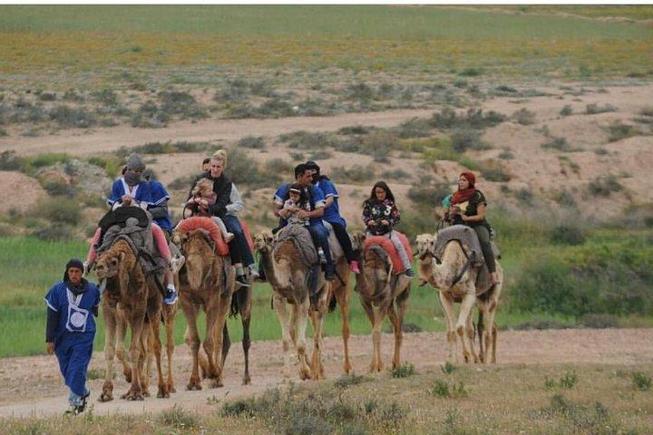 Camel riding in marrakech