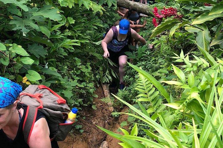 El Yunque Off the Beaten Path Tour with Transportation