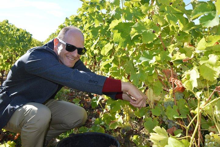 Paris Wine Day Tours exclusive Champagne tour incl. 3 visits