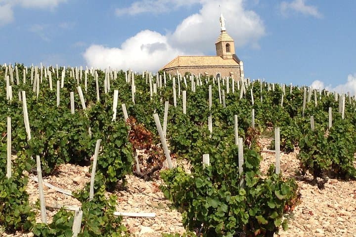 Beaujolais Crus Wines & Castles (2:00 pm - 6:30 pm) - Small Group Tour from Lyon