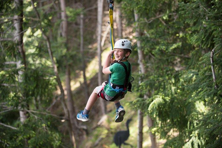 Small-Group Zipline Adventure in Queenstown