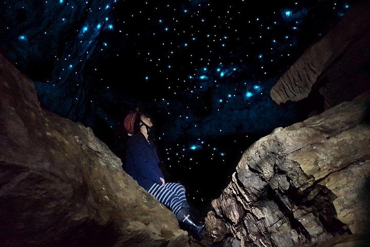 Waitomo’s Hidden Gem: Off the Beaten Track Glowworm Cave Tour