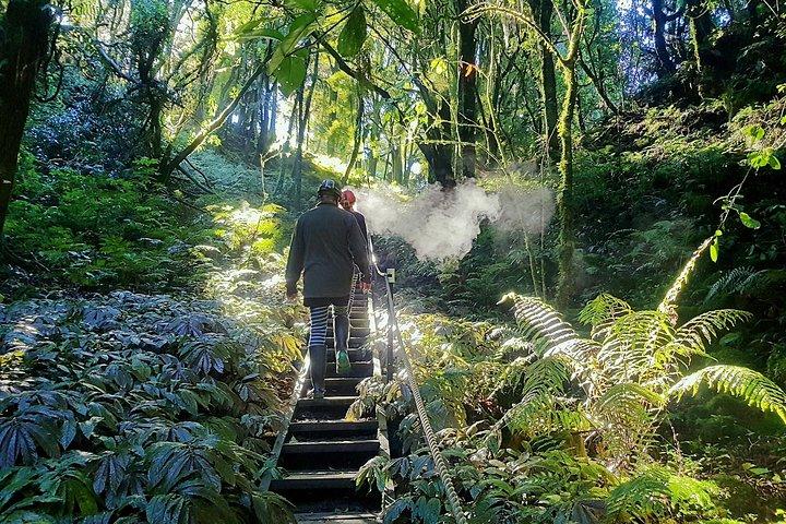 Waitomo’s Hidden Gem: Off the Beaten Track Glowworm Cave Tour