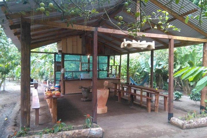 Chocolate, Coffee & Sugar Cane Experience - La Fortuna