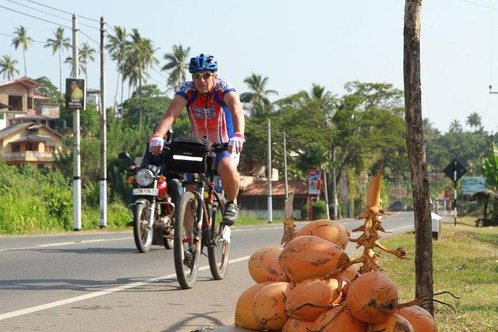 Galle: City & Fort Cycling tour with Hotel Pickup