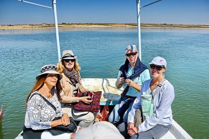 Day Trip to Wadi El-Hitan, Wadi El-Rayyan & Al Fayyom Oasis