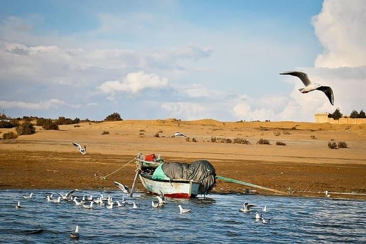 Full-Day Fayoum Oasis and Waterfalls of Wadi El-Rayan Tour from Cairo