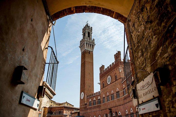 Tuscany Day Trip from Florence: Siena, San Gimignano, Pisa and Lunch at a Winery