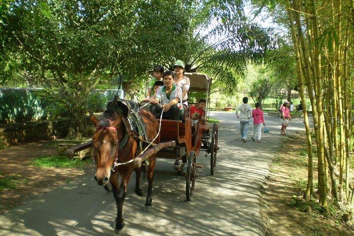 Cu Chi Tunnels & Mekong Delta Full Day Tour Small Group