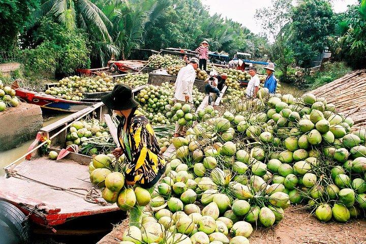 Cu Chi Tunnels & Mekong Delta Full Day Tour Small Group