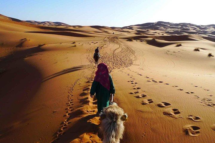 2 Day Zagora Tour from Marrakech Including the Atlas Mountains, Camel Trek and Desert Camp