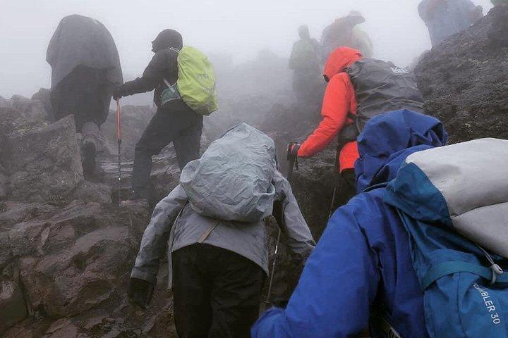 7 days Lemosho route Climbing Mt.Kilimanjaro