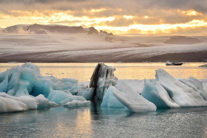 Reykjavik: Glacier Lagoon & Fjaðrárgjúfur Canyon Small-Group Tour