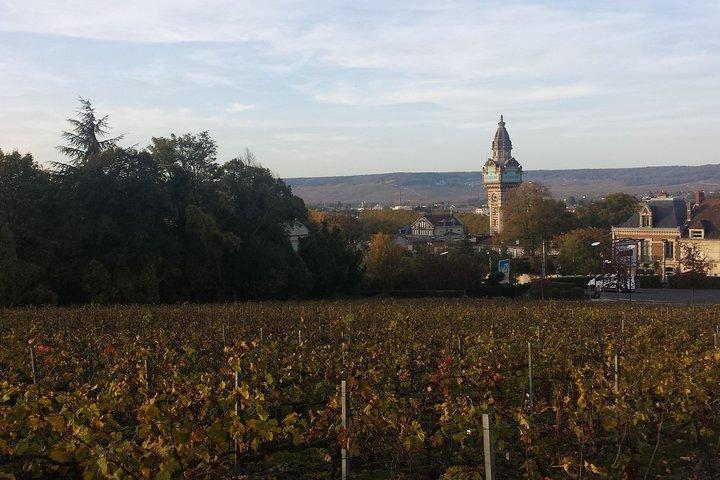 Private Champagne tour from Paris
