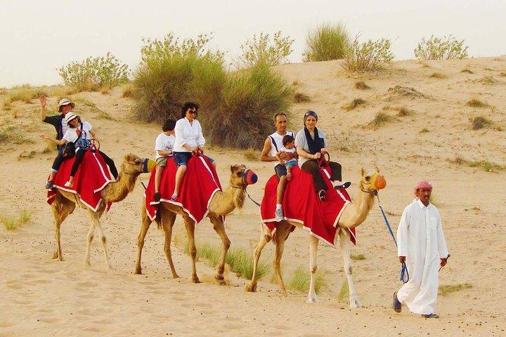 Morning Dubai Red Dunes Safari With Camel Ride & Sand boarding