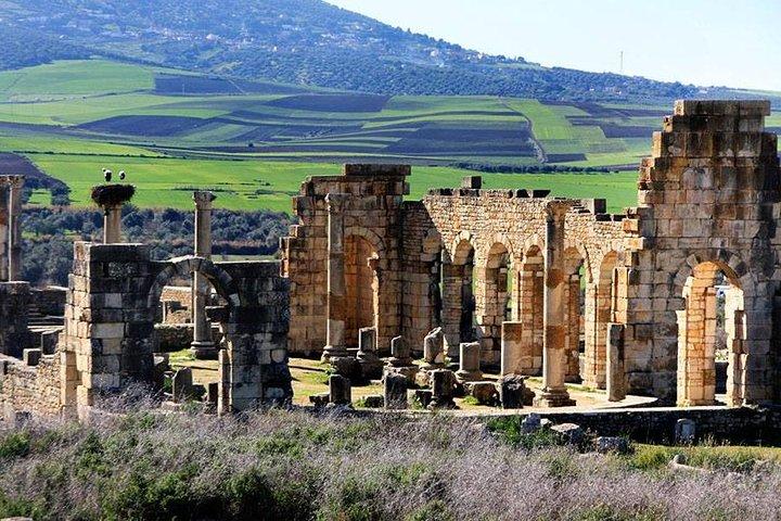 Fez to Meknes,Moulay Idriss & Volubilis Day Trip