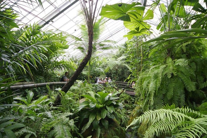 Australian Butterfly Sanctuary