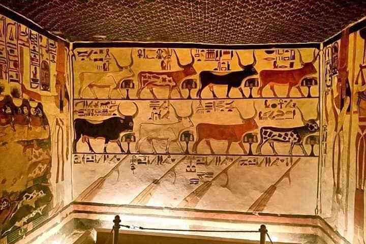 Private Valley of the Kings &Queen King Tut's,Hatshepsut &more