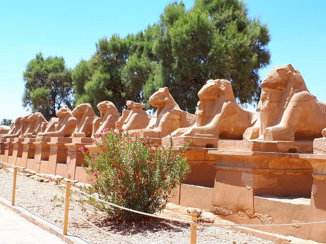 Private Tour from Luxor Airport to the Best Monuments of Luxor