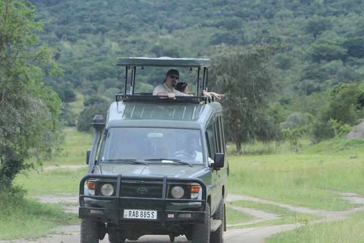 2 Days Akagera Wildlife Safari( pick up and drop off)