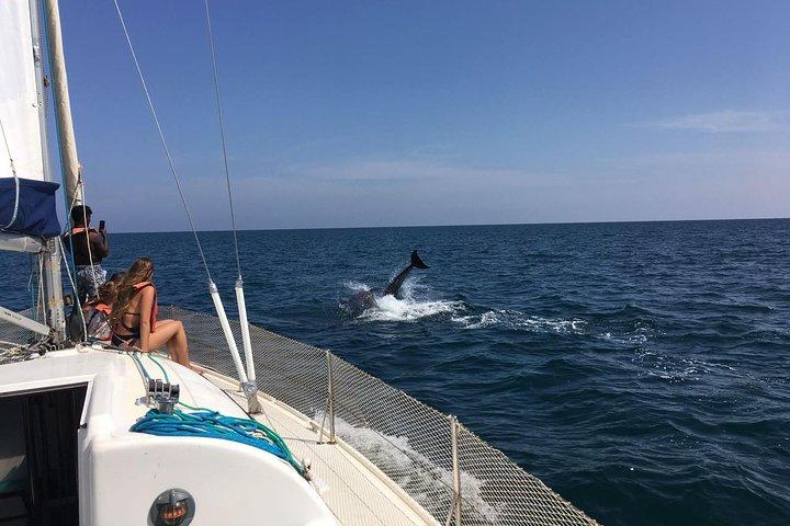 Ria Formosa Half Day Sailing Tour