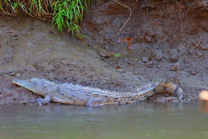 Palo Verde RiverRide From Guanacaste