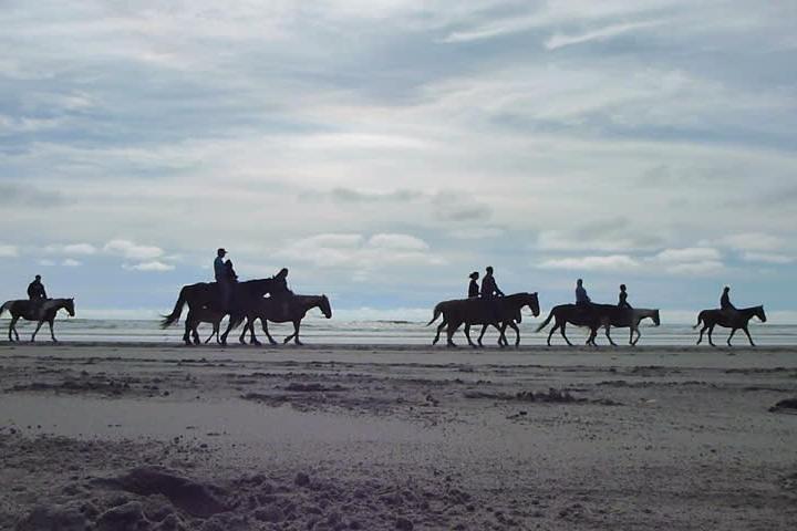 Las cañadas ecopark and horseback riding private tour