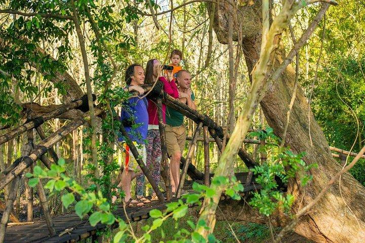 6-Day Authentic Experiences in Sri Lanka