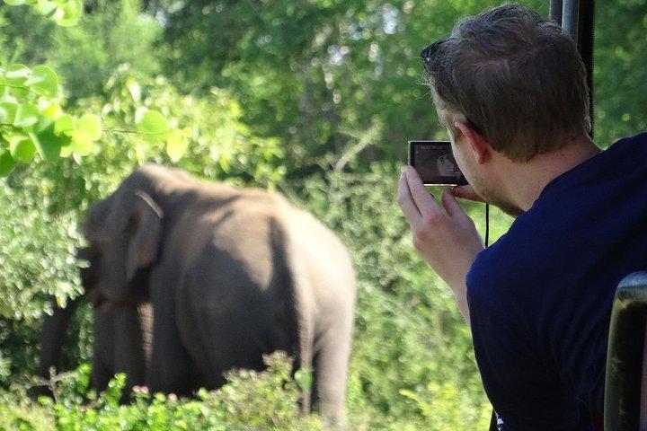 Hill Safaris to Wild Trails: 4 Days Belihuloya, Yala & Udawalawe