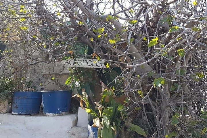 Sunset Walking Tour in Plaka with Hidden Gems & Local Stories