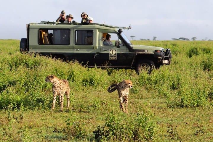 4 Day Masai Mara & Lake Nakuru Group Joining Camping Safari - Daily Departures