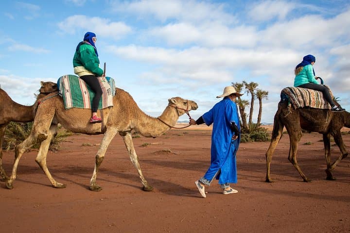 Camel and Quad Biking Tour from Marrakech