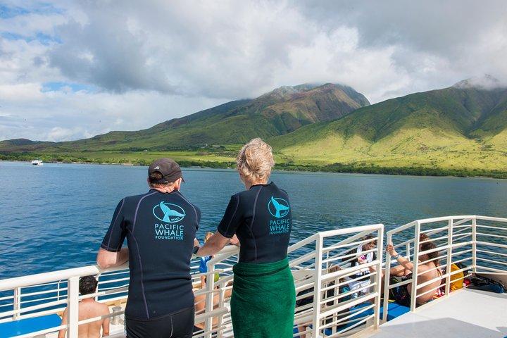 Molokini and Turtle Arches Snorkeling Trip from Ma'alaea Harbor