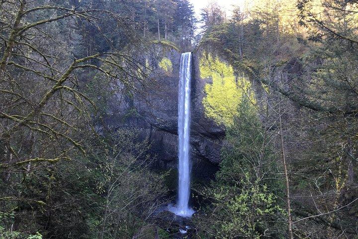 Small Group: Columbia River Gorge Waterfalls Tour from Portland
