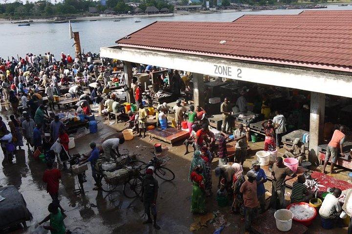 Dar Es Salaam City Tour. All Must See Things (Private Guide and car) Full day
