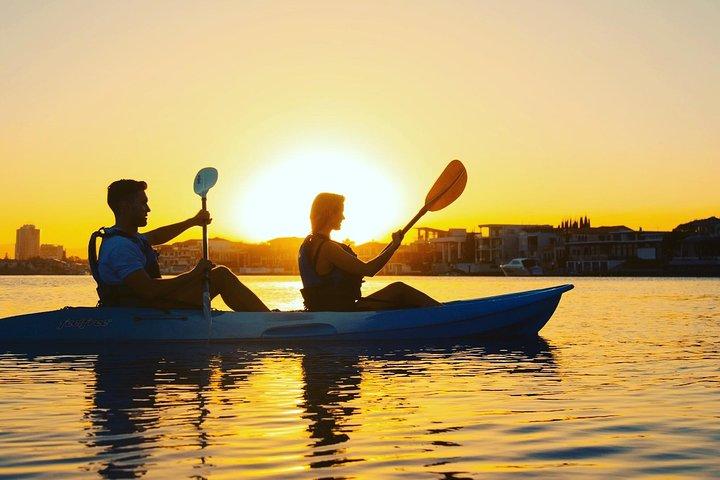 Gold Coast: Surfers Paradise Sunset Kayak & Wildlife Tour