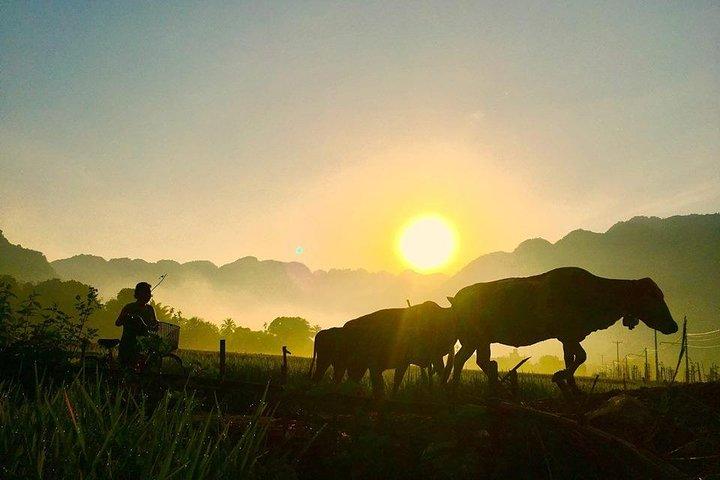Mai Chau Day Tour From Hanoi - Amazing North Vietnam
